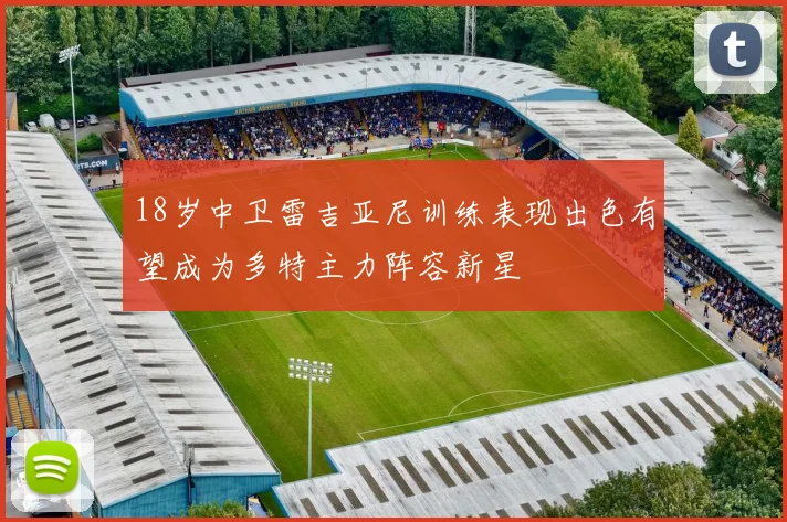 18岁中卫雷吉亚尼训练表现出色有望成为多特主力阵容新星