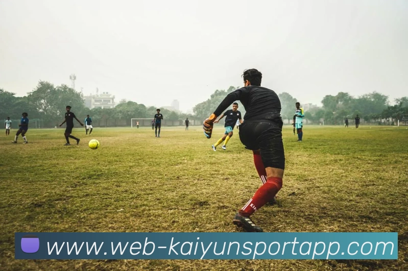 开云体育服务体系